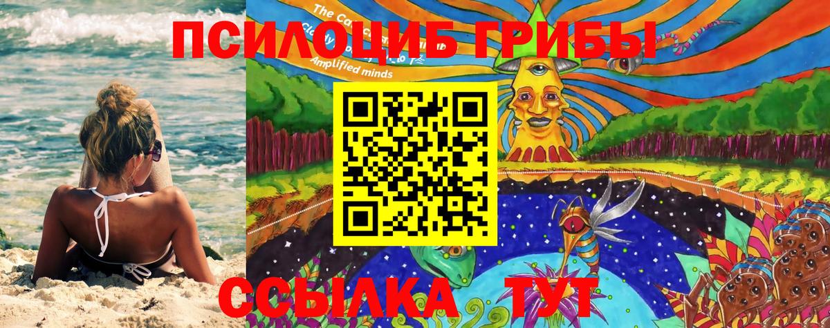 Волгодонск  Псилоцибиновые грибы Magic Shrooms  Вход с VPN 