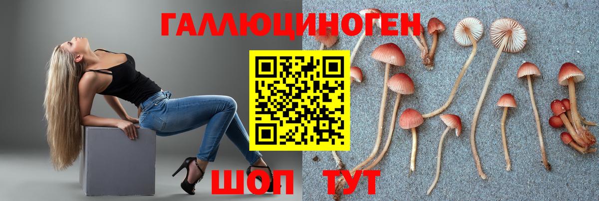 Псилоцибиновые грибы мухоморы Волгодонск