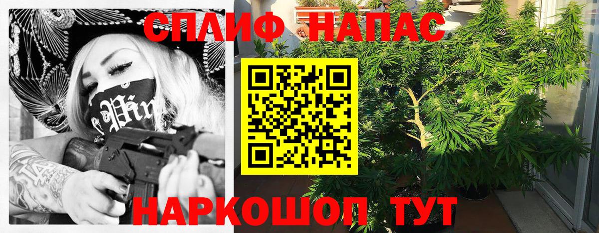 Конопля AK-47 Волгодонск